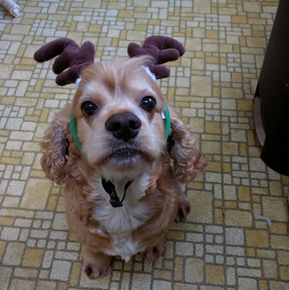 Meet your Posher, Monica - Picture 1 of 1